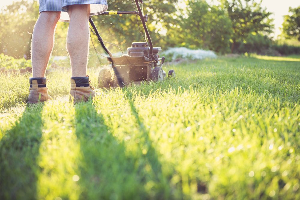 Mowing the lawn in the garden